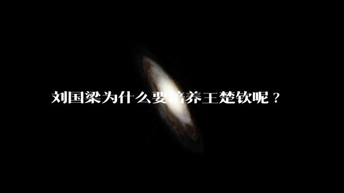 刘国梁为什么要培养王楚钦呢?